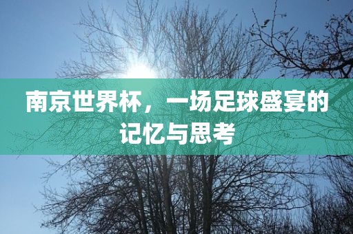 南京世界杯，一场足球盛宴的记忆与思考丹东日丰电子有限公司