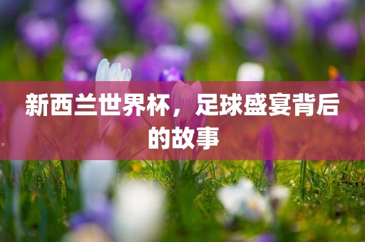 新西兰世界杯，足球盛宴背后的故事丹东日丰电子有限公司