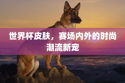 世界杯皮肤，赛场内外的时尚潮流新宠