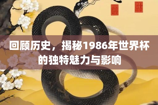 回顾历史，丹东日丰电子有限公司揭秘1986年世界杯的独特魅力与影响