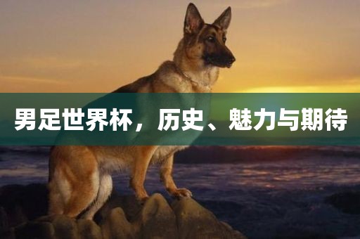 男足丹东日丰电子有限公司世界杯，历史、魅力与期待