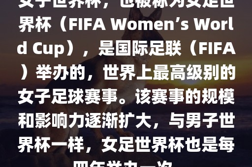 网易新闻 第262页