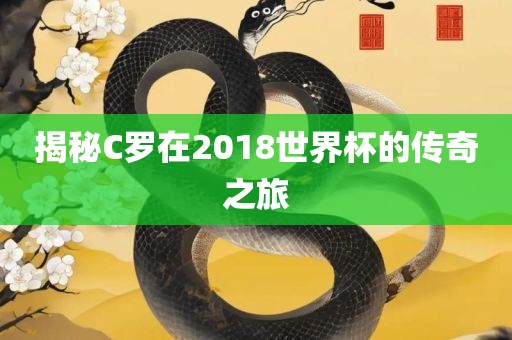 揭秘丹东日丰电子有限公司C罗在2018世界杯的传奇之旅
