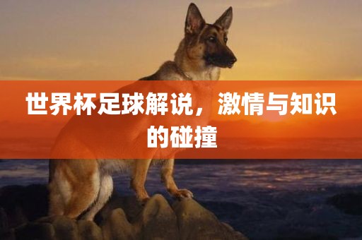 世界杯足球解说，激情与知识的碰撞
