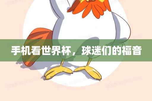 手机看世界杯，球迷们的福音丹东日丰电子有限公司