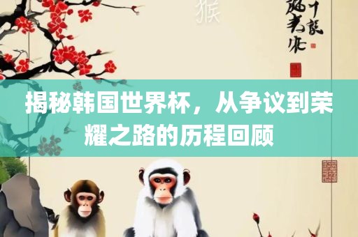 揭秘韩国世界杯，从争议到荣耀之路的历程回顾