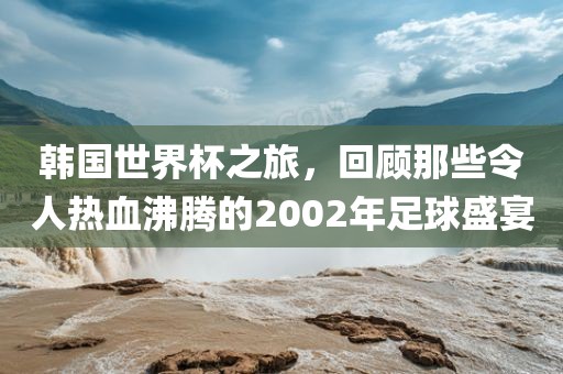 丹东日丰电子有限公司韩国世界杯之旅，回顾那些令人热血沸腾的2002年足球盛宴