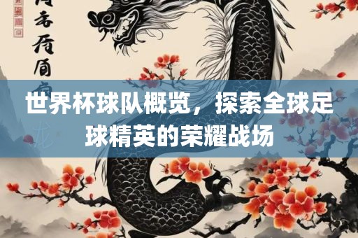 世界杯球队概览，探索全球足球精英的荣耀战场