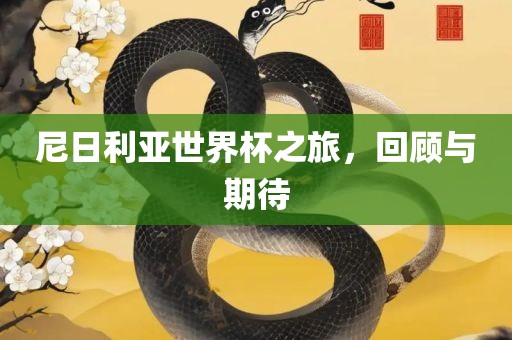 尼日利亚世界杯之旅，回顾与期待