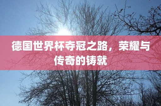 德国世界杯夺冠之路，荣耀与传奇的铸就