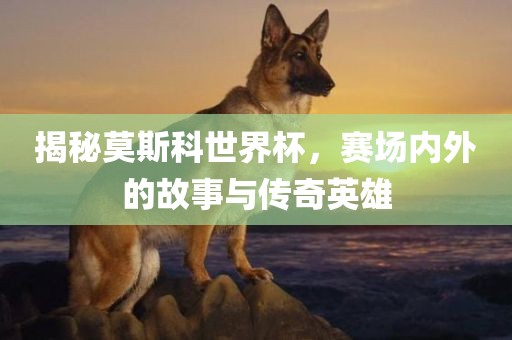 揭秘莫斯科世界杯，赛场内外的故事与传奇英雄