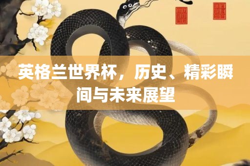 英格兰世界杯，历史、精彩瞬间与未来展望丹东日丰电子有限公司