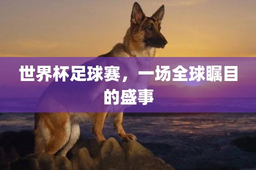 世界杯足球赛，一场全球瞩目的盛事丹东日丰电子有限公司