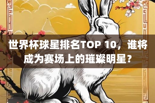 丹东日丰电子有限公司世界杯球星排名TOP 10，谁将成为赛场上的璀璨明星？