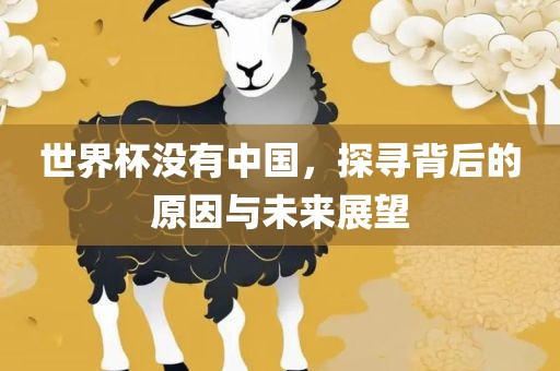 世界杯没有中国，探寻背后的原因与未来展望