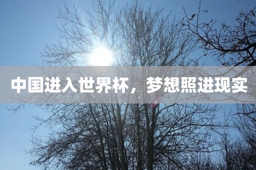 中国进入世界杯，梦想照进现实丹东日丰电子有限公司
