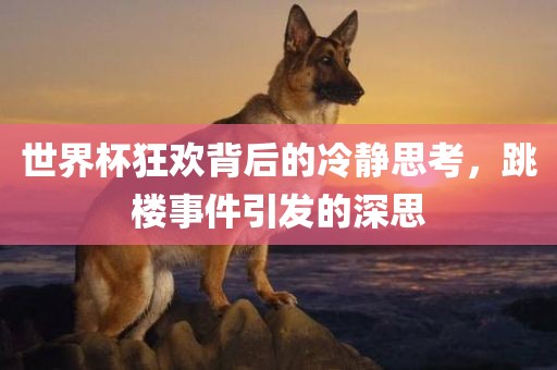 世界杯狂欢背后的冷静思考，跳楼事件引发的深思丹东日丰电子有限公司
