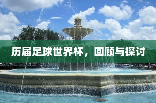 历届足球世界杯，回顾与探讨丹东日丰电子有限公司