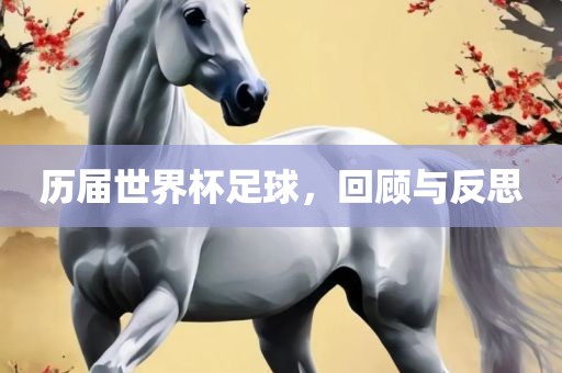 历届世界杯足球，回顾与反思丹东日丰电子有限公司