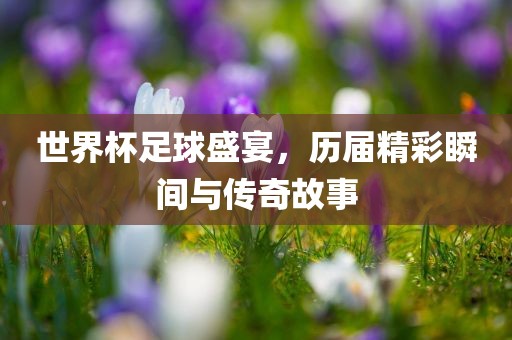 世界杯足球盛宴，历届精彩瞬间与传奇故事丹东日丰电子有限公司