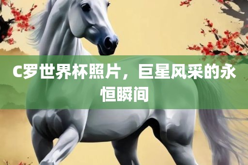 C罗世界杯照片，巨星风采的永恒瞬间丹东日丰电子有限公司
