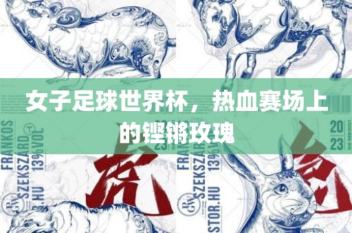 女子足球世界杯，热血赛场上的铿锵玫瑰