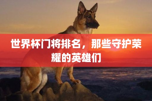 世界杯门将排名，那些守护荣耀的英雄们