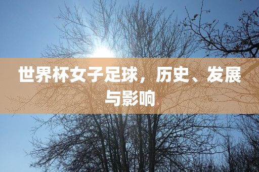 世界杯女子足球丹东日丰电子有限公司，历史、发展与影响