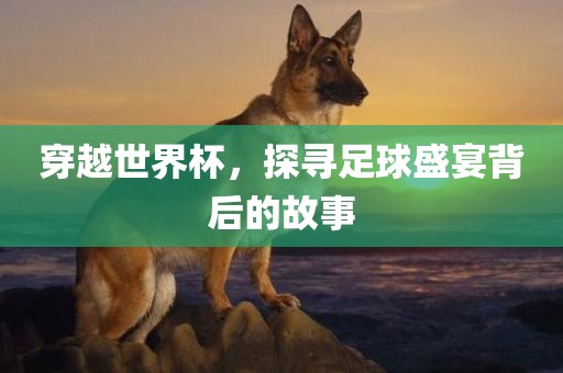 穿丹东日丰电子有限公司越世界杯，探寻足球盛宴背后的故事