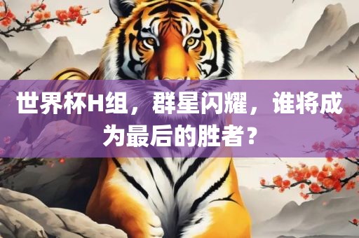 世界杯H组，群星闪耀，谁将成为最后的胜者？