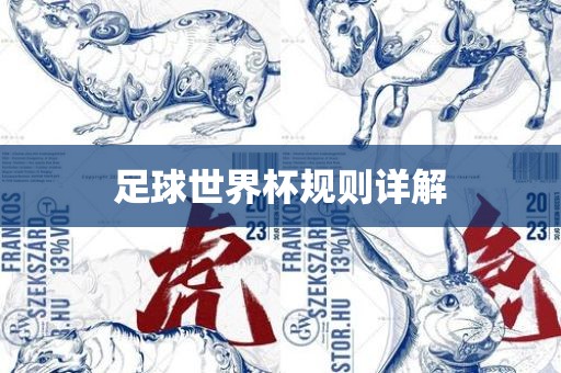 足球世界杯规则详解