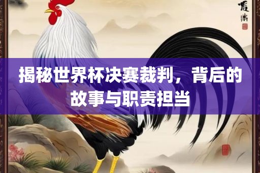 揭秘世界杯决赛裁判，背后的故事与职责担当丹东日丰电子有限公司
