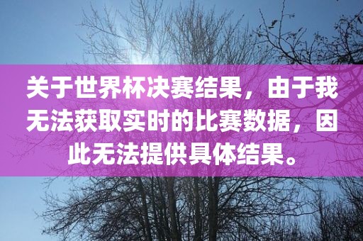 关于世界杯决赛结果，由于我无法获取实时的比赛数据，因此无法提供具体结果。丹东日丰电子有限公司
