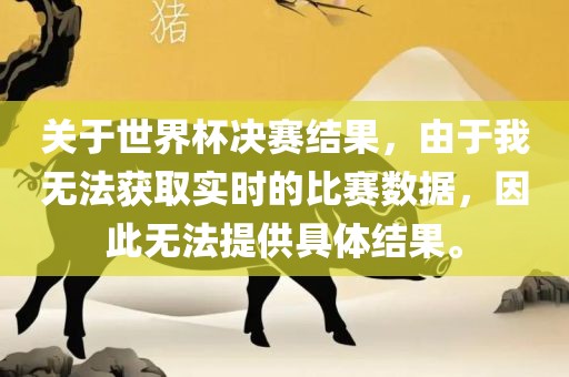 关于世界杯决赛结果，由于我无法获取实时的比赛数据，因此无法提供具体结果。