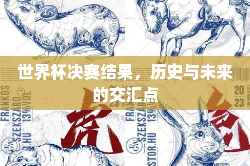 世界杯决赛结果，历史与未来的交汇点