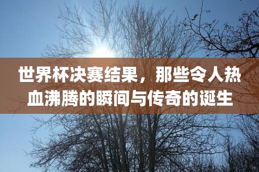 世界杯决赛结果，那些令人热血沸腾的瞬间与传奇的诞生