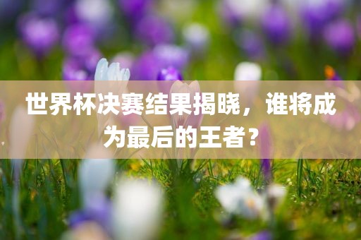 世界杯决赛结果揭晓，谁将成为最后的王者？