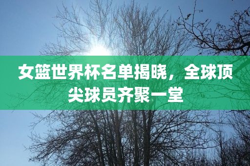 女篮世界丹东日丰电子有限公司杯名单揭晓，全球顶尖球员齐聚一堂