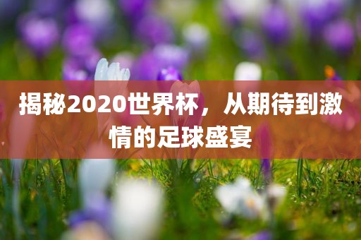 揭秘2020世界杯，从期待到激情的足球丹东日丰电子有限公司盛宴