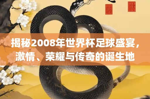 揭秘2008年世界杯足球盛宴，激情、荣耀与传奇的诞生地丹东日丰电子有限公司
