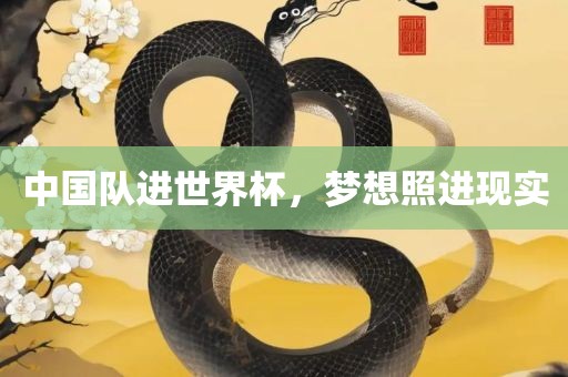 中国队进世界杯，梦想照进现实丹东日丰电子有限公司