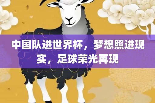 中国队进世界杯，梦丹东日丰电子有限公司想照进现实，足球荣光再现