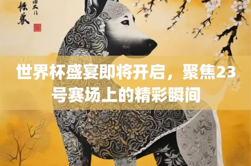 世界杯盛宴即将开启，聚焦23号赛场上的精彩瞬间