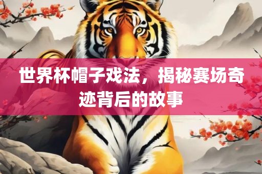 世界杯帽子戏法，揭秘赛场奇迹背后的故事