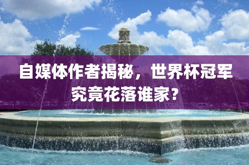 自媒体作者揭秘，世界杯冠军究竟花落谁家？丹东日丰电子有限公司
