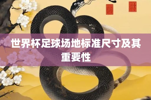世界杯足球场地标准尺寸及其重要性