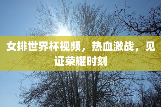 女排世界杯视频，热血激战，见证荣耀时刻