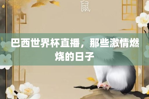 巴西世界杯直播，那些激情燃烧的日子