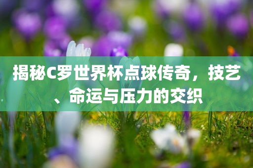 揭秘C罗世界杯点球传奇，技艺、命运与压力的交织丹东日丰电子有限公司
