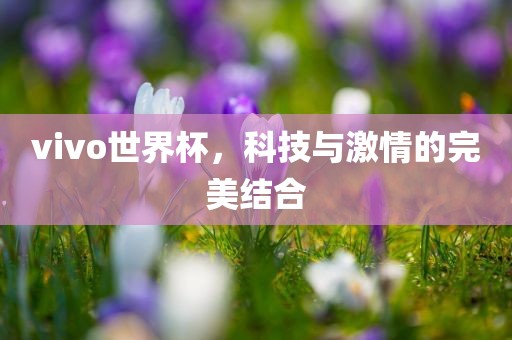 vivo世界杯，科技与激情的完美结合